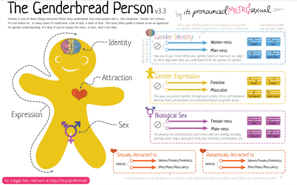 The Genderbread Person